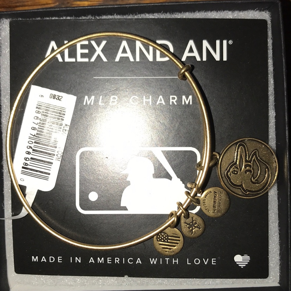 Alex and ani charm bracelet
